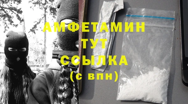 сатива Покачи