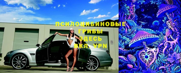 мдпв Заводоуковск