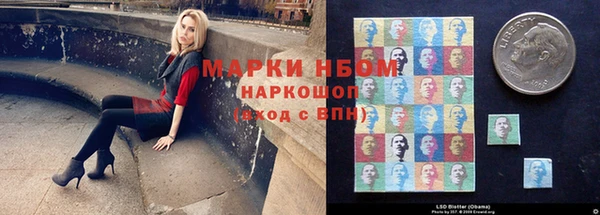 мдпв Заводоуковск