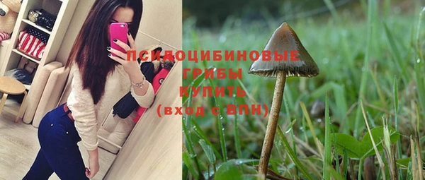 мдпв Заводоуковск
